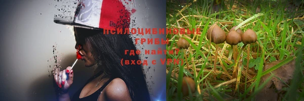ешки Богородск