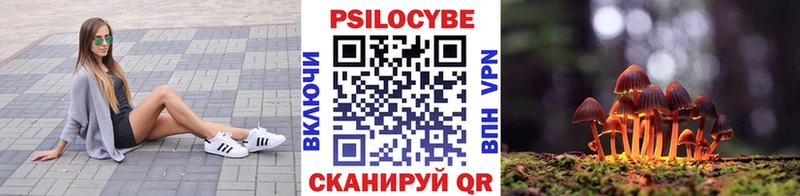 магазин наркотиков ОМГ ОМГ маркетплейс нарко площадка как зайти Кирсанов Галлюциногенные грибы Cubensis